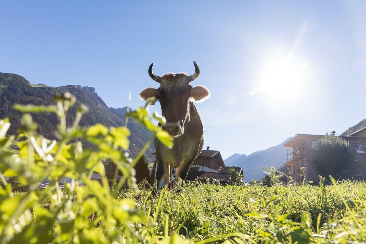 Hieserhof نيوستيف ام ستوبيتا المظهر الخارجي الصورة